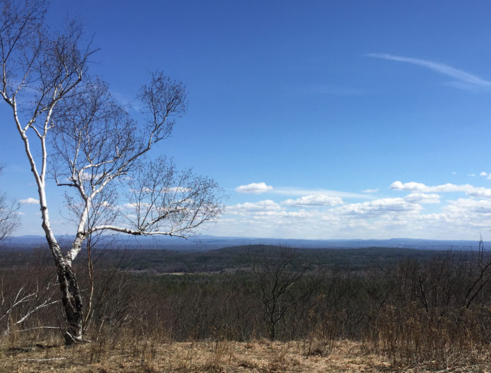 Relocating to the Hudson Valley