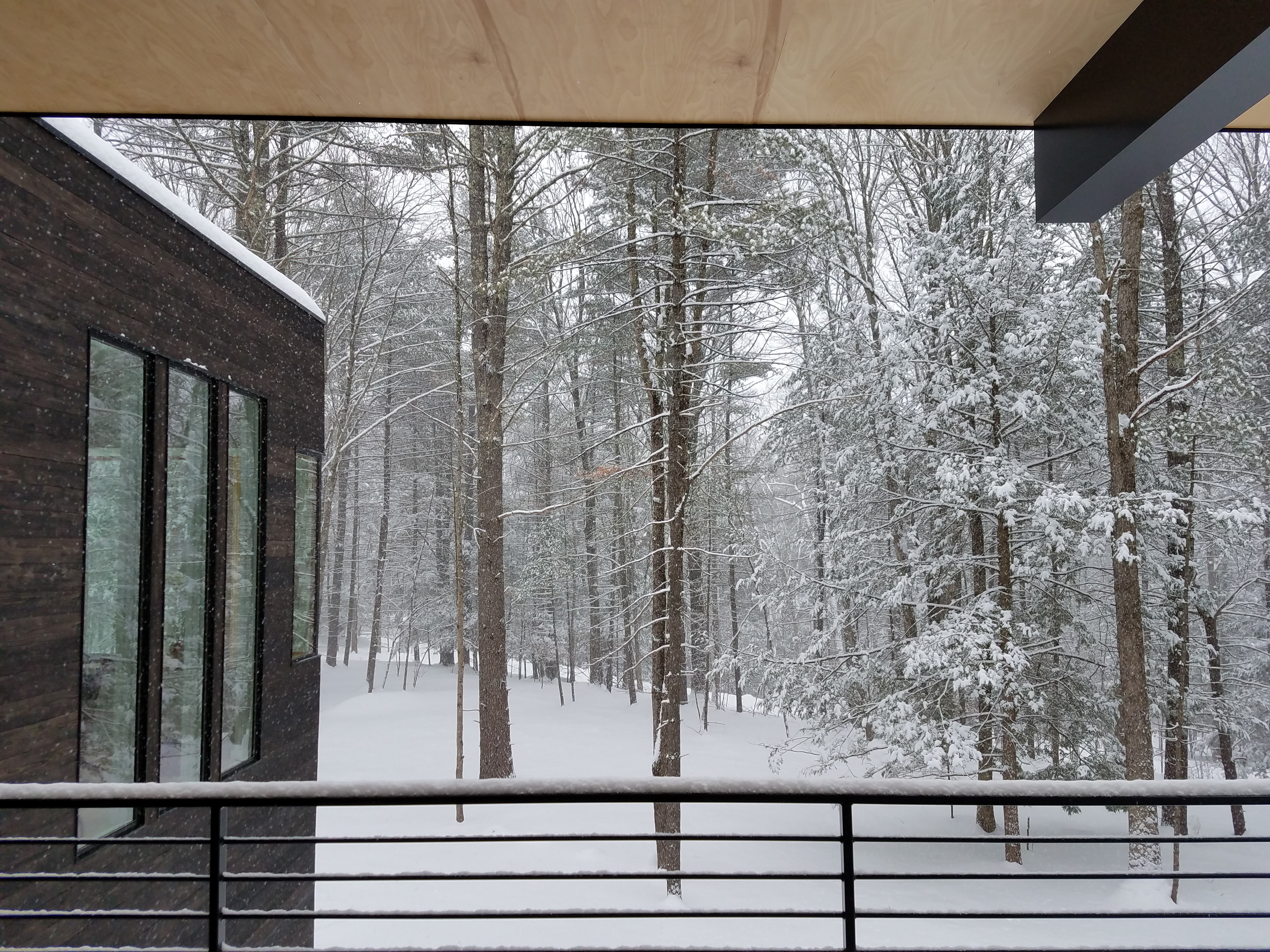 Modern Homes in Winter - Hudson Valley