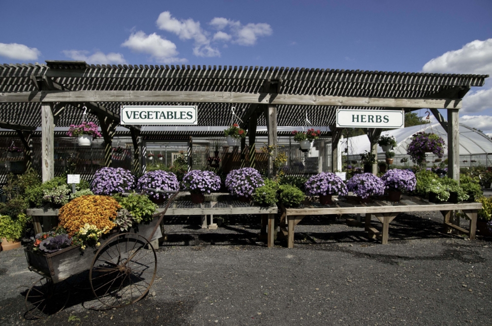 Saunderskill Farms - Local Farms and Markets Hudson Valley