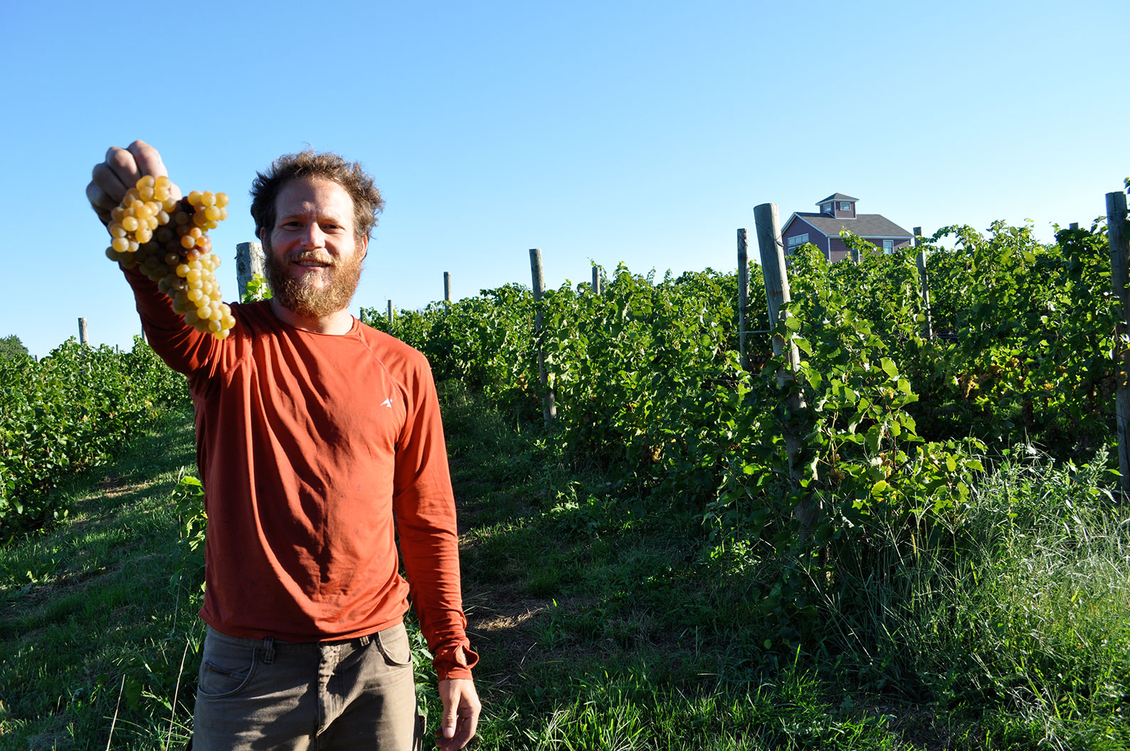 Shawangunk Wine Trail - Wine Tours in the Hudson Valley