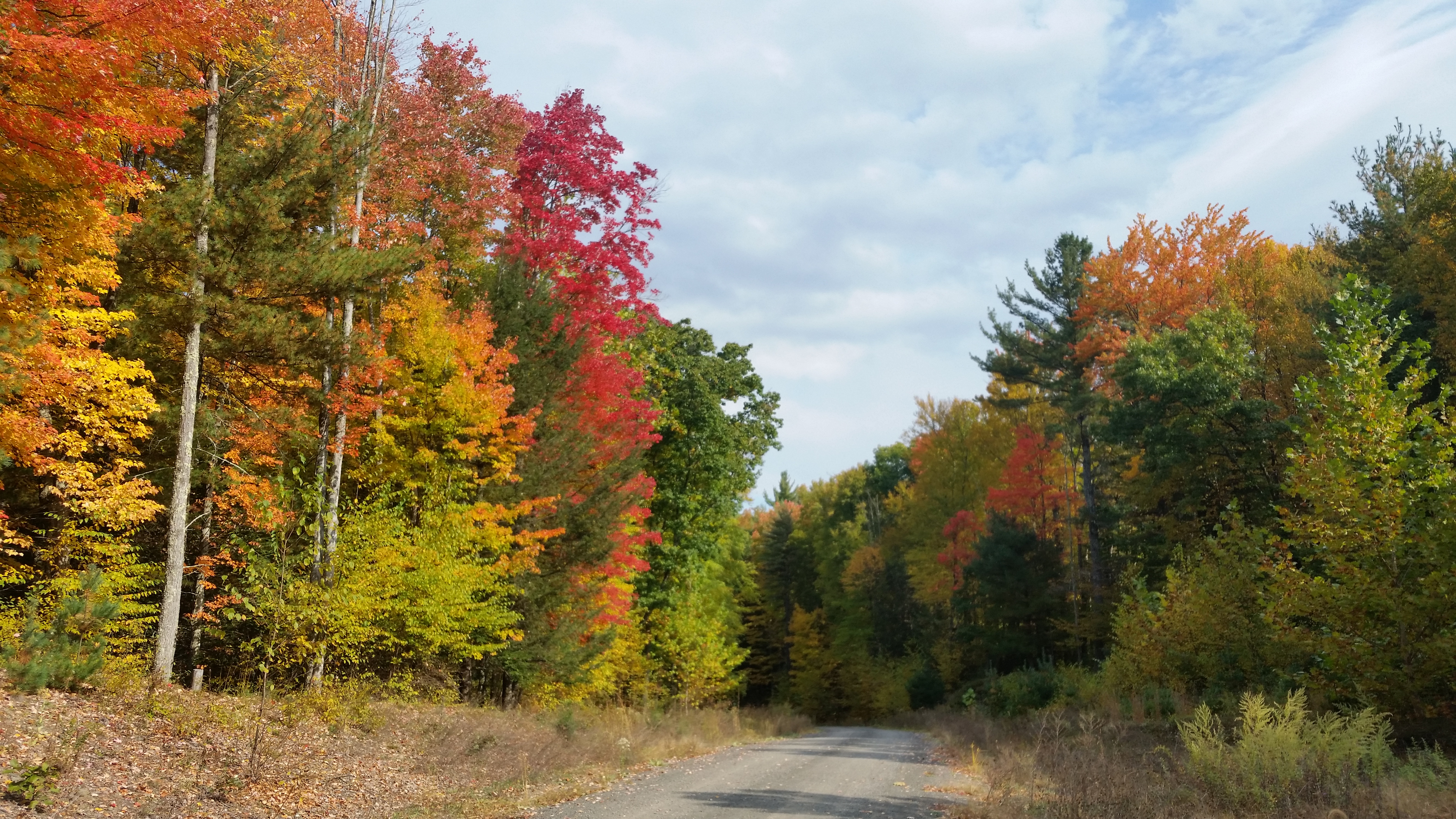 Waterfalls Properties in Autumn - Kerhonkson, NY