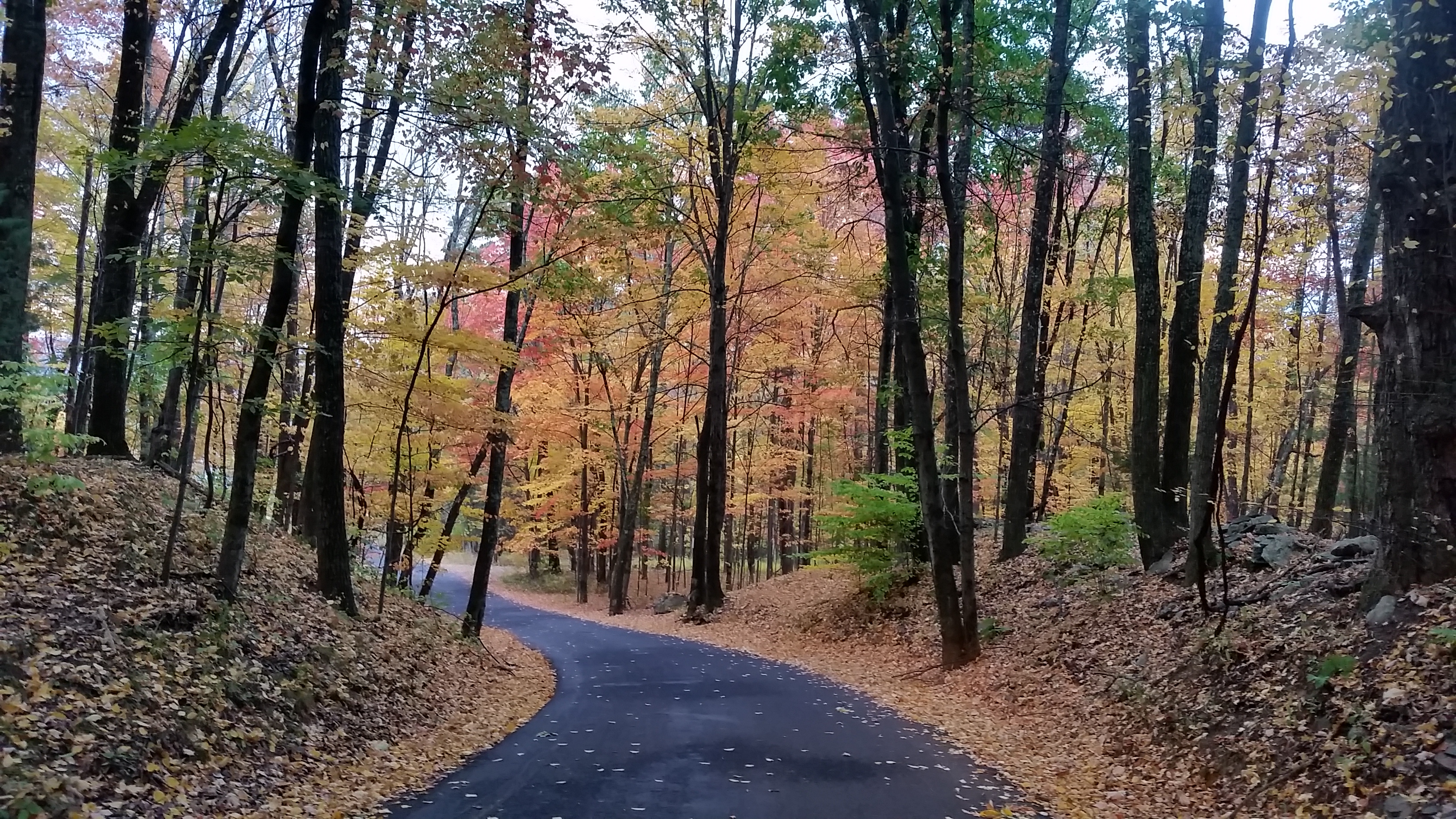 Scenic Drives in the Hudson Valley