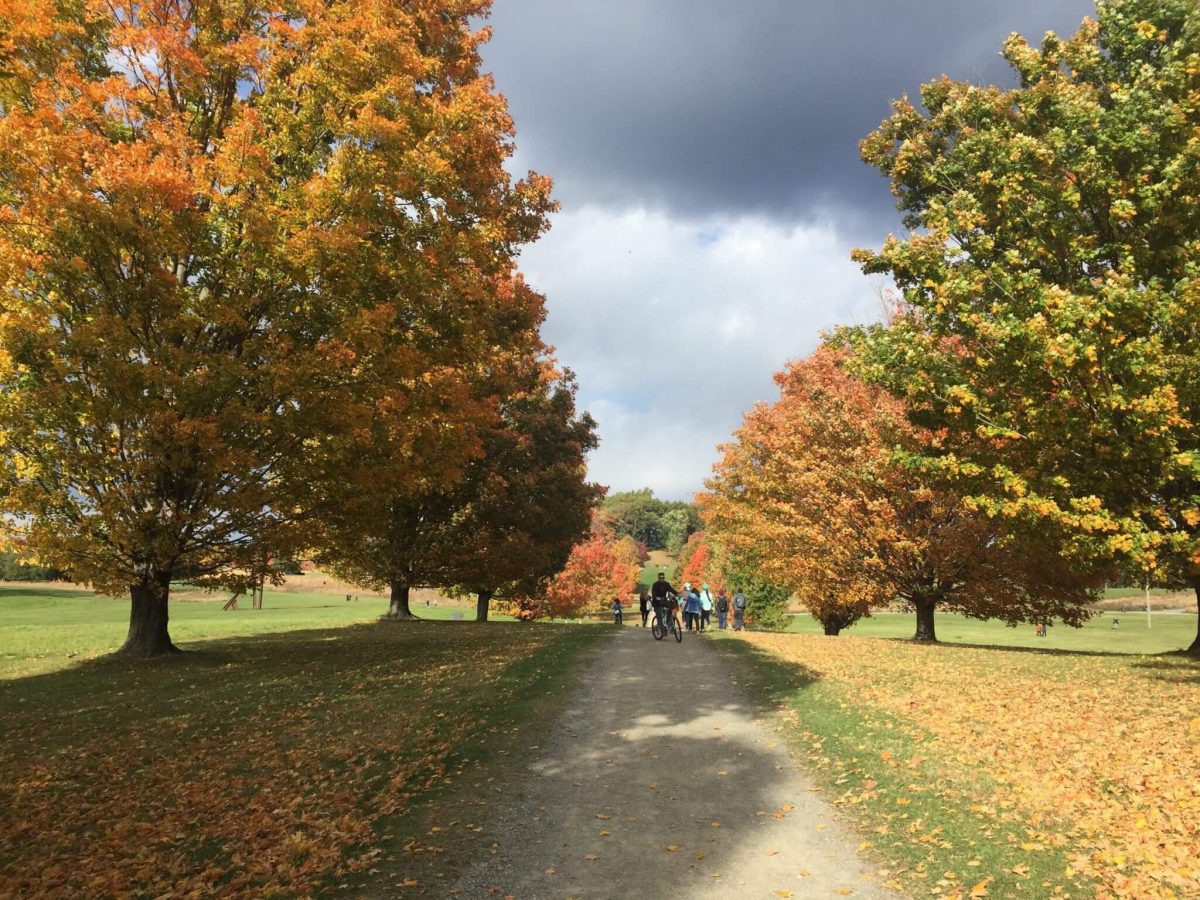 Local Adventures in the Hudson Valley: Storm King Art Center