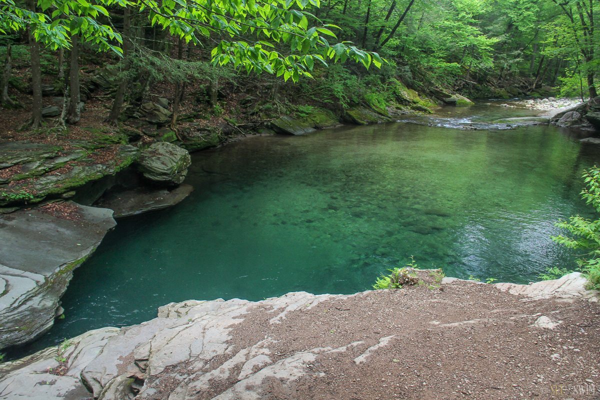 Swimming in the Hudson Valley