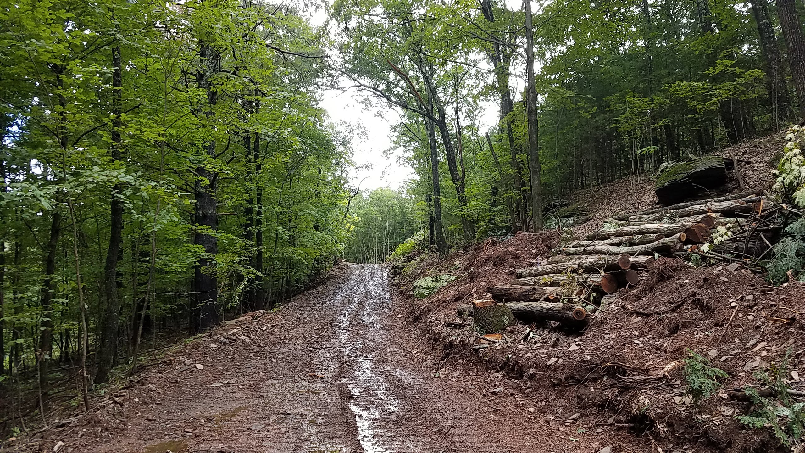 Construction Update: Infrastructure and Road Work at The Cliffs