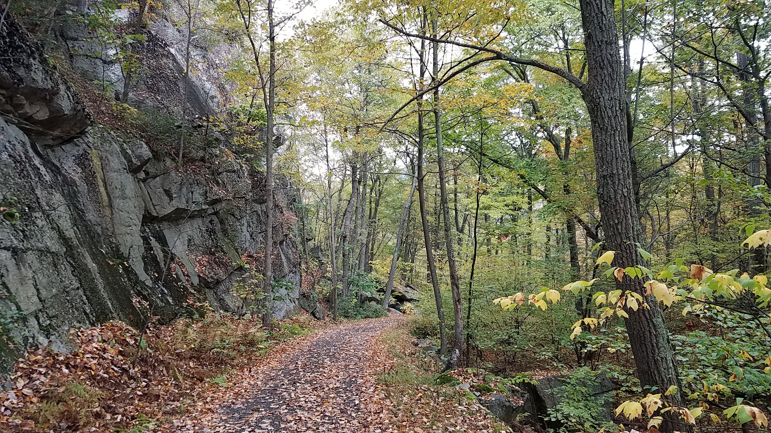 Hudson Valley Fall Fun - Autumn Hike