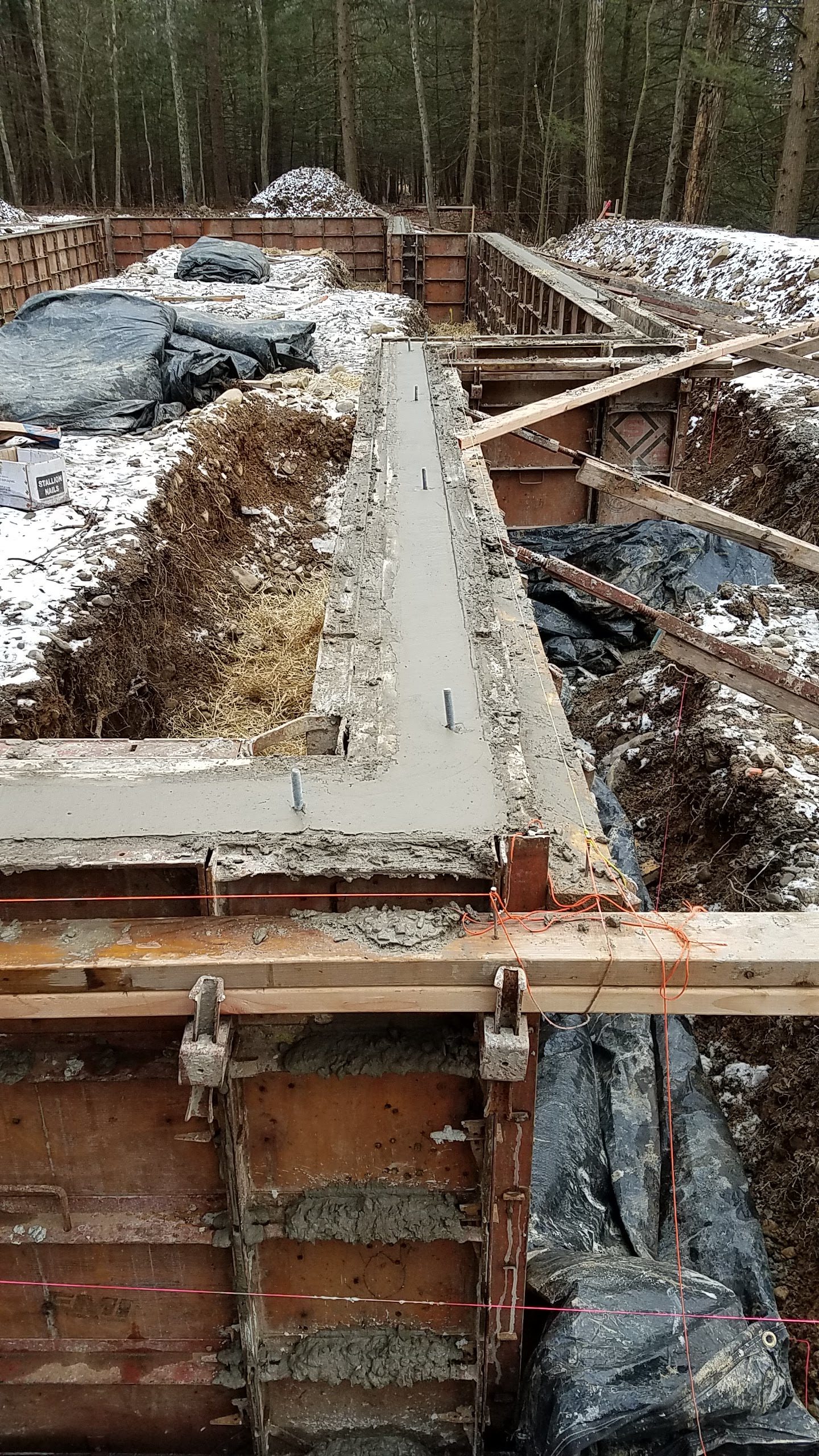 Construction Update: Cat Hill January 2019