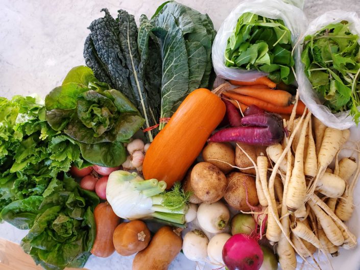 Farm-to-Table: Long Season Farm’s Winter CSA