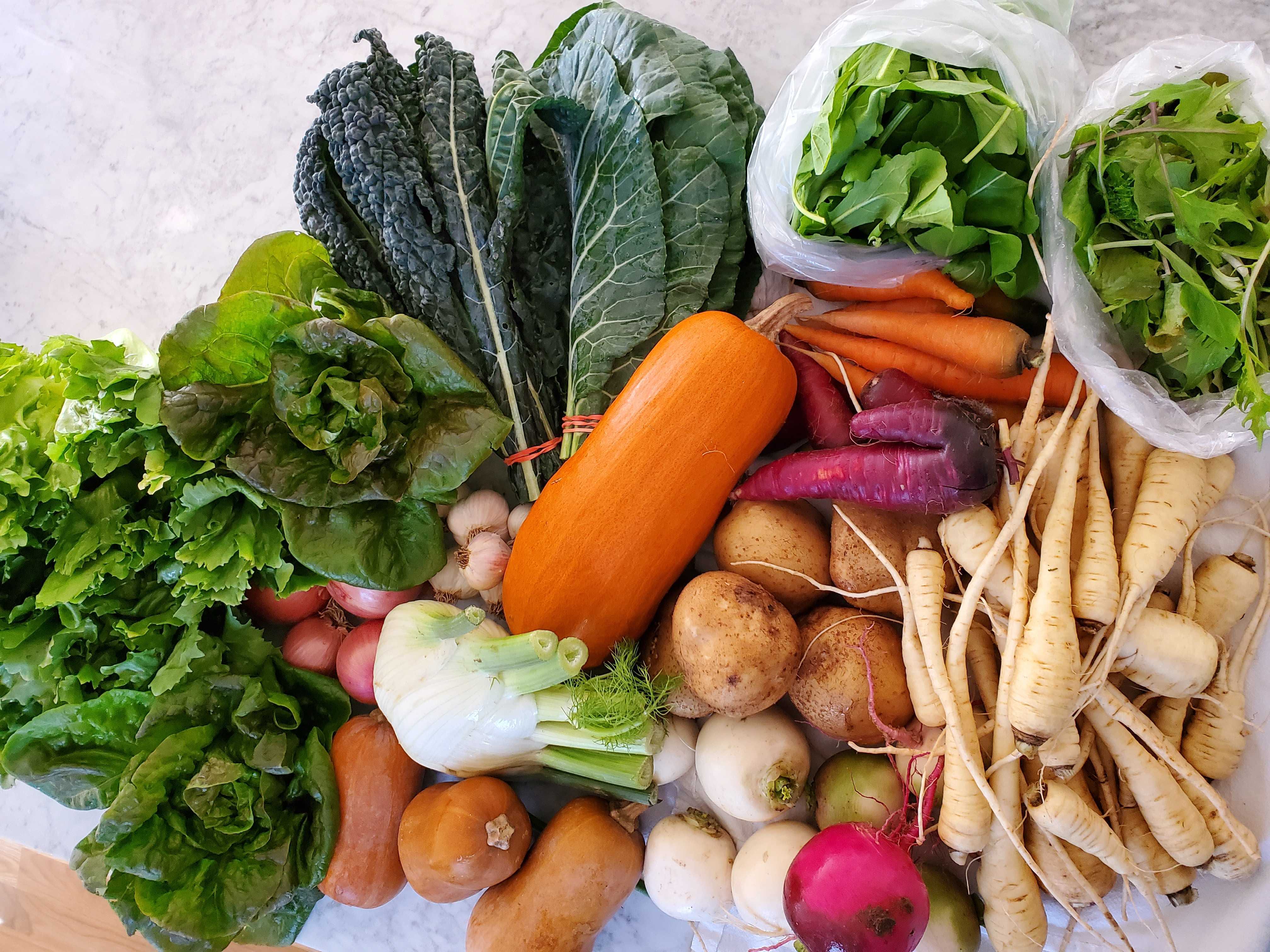 Hudson Valley Farm-to-Table - Winter CSA