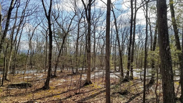 Searching for Land in the Hudson Valley