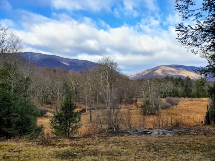 Buying a House or Property Upstate