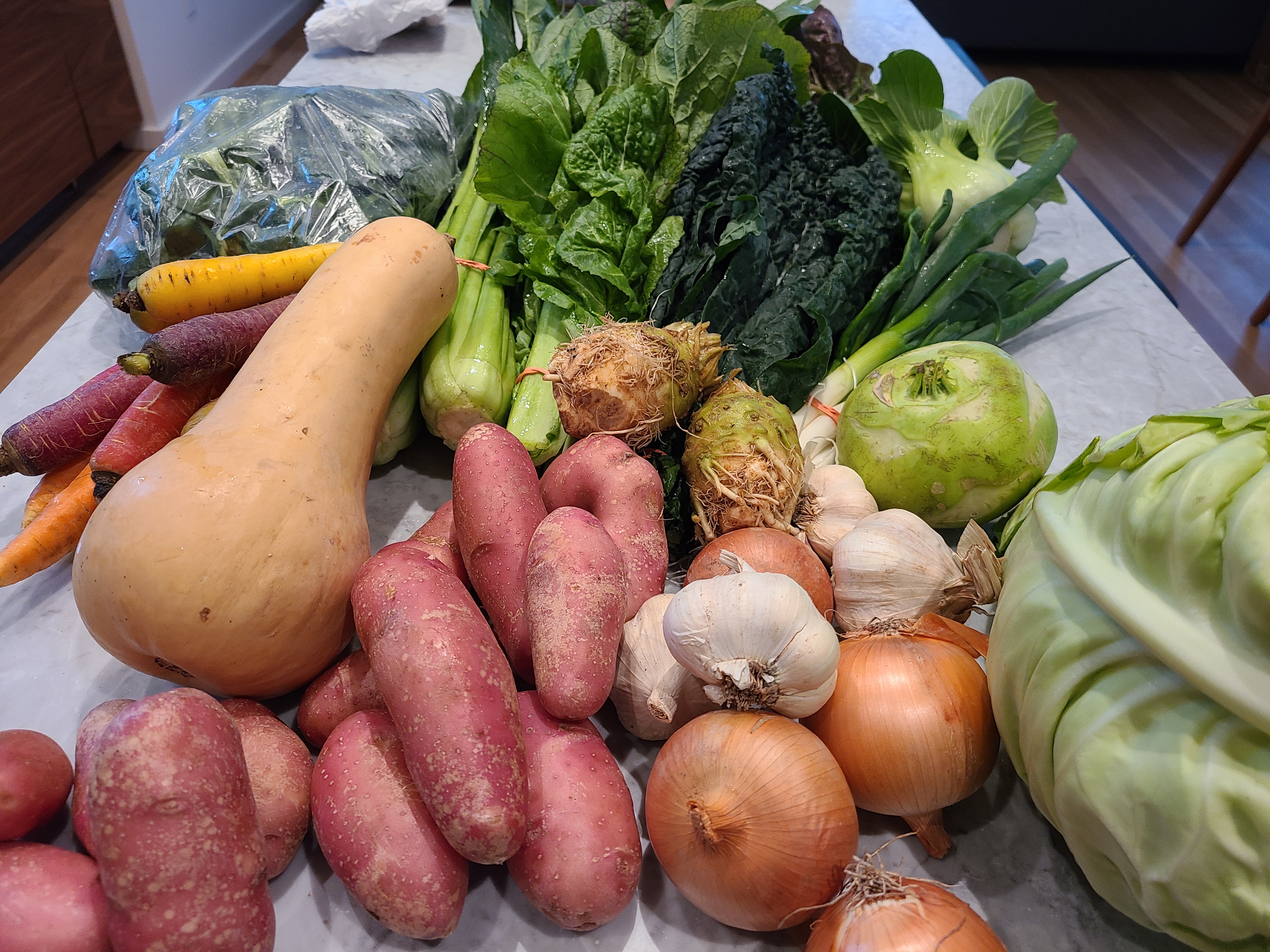 Winter CSA in the Hudson Valley