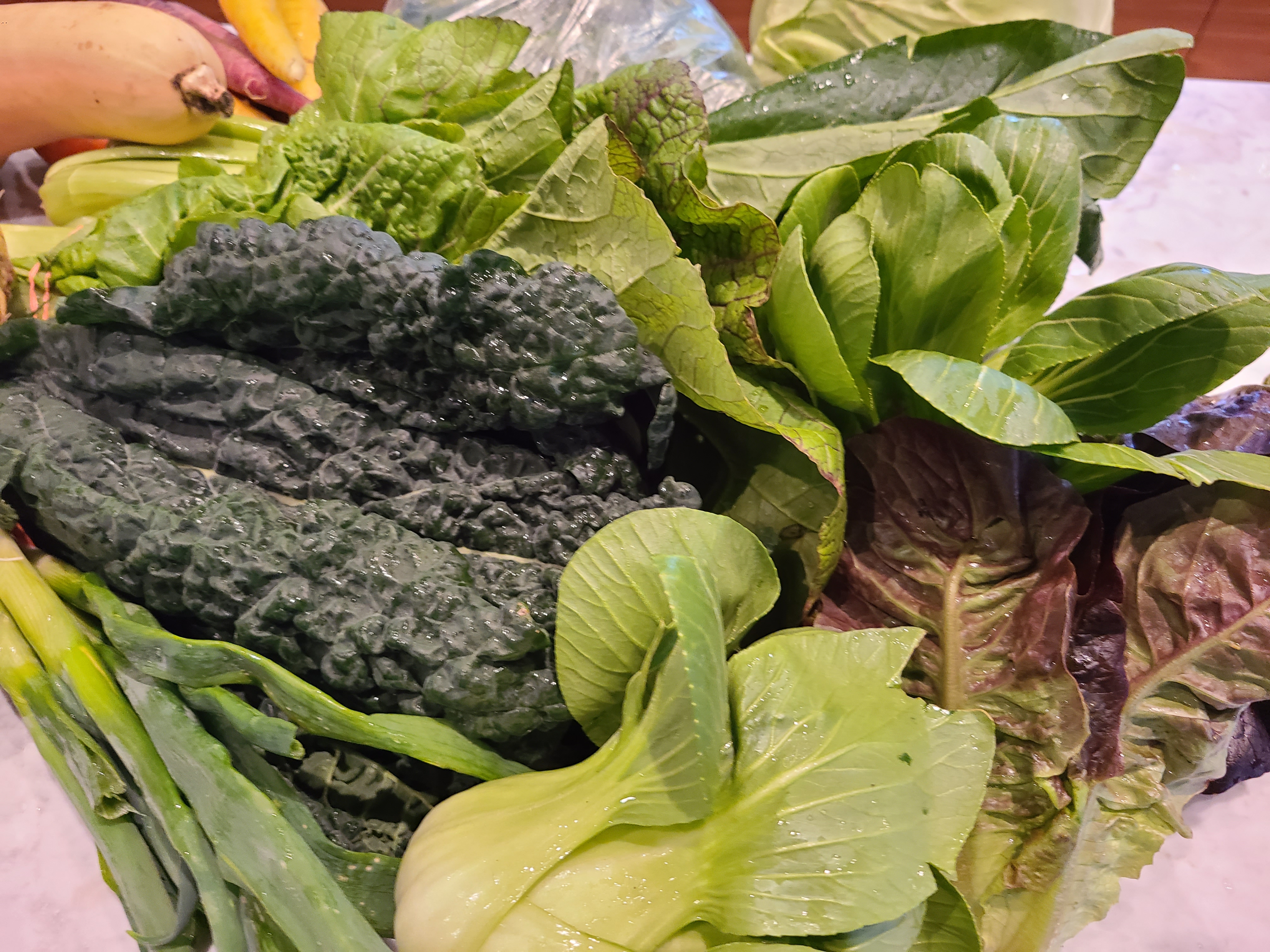 Local Adventures in the Hudson Valley: Winter CSA