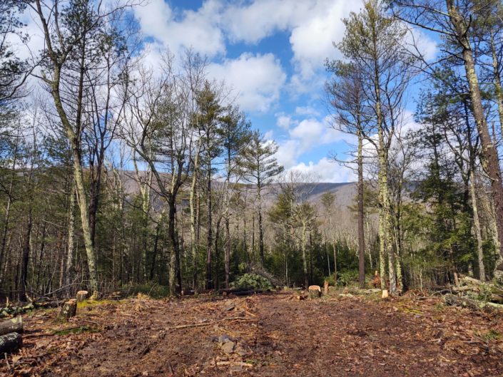 Construction Update: Catskill Terraces