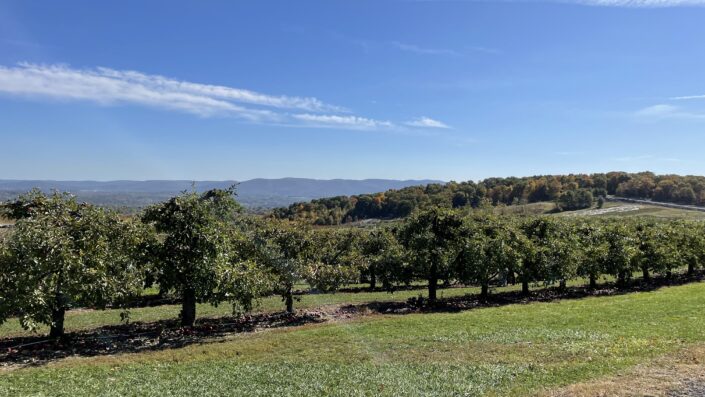 Local Adventures: Apple Picking in the Hudson Valley