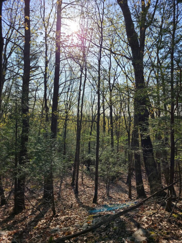 Looking for Land: Buying Property in the Hudson Valley